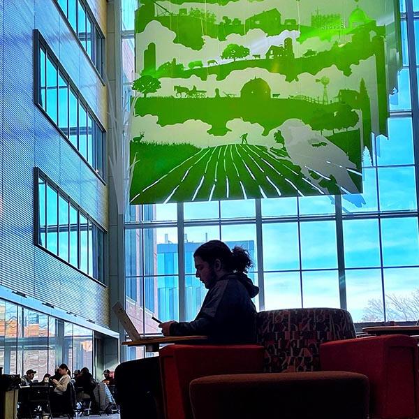 Silhouette of a student studying in the Sukup Building atrium.
